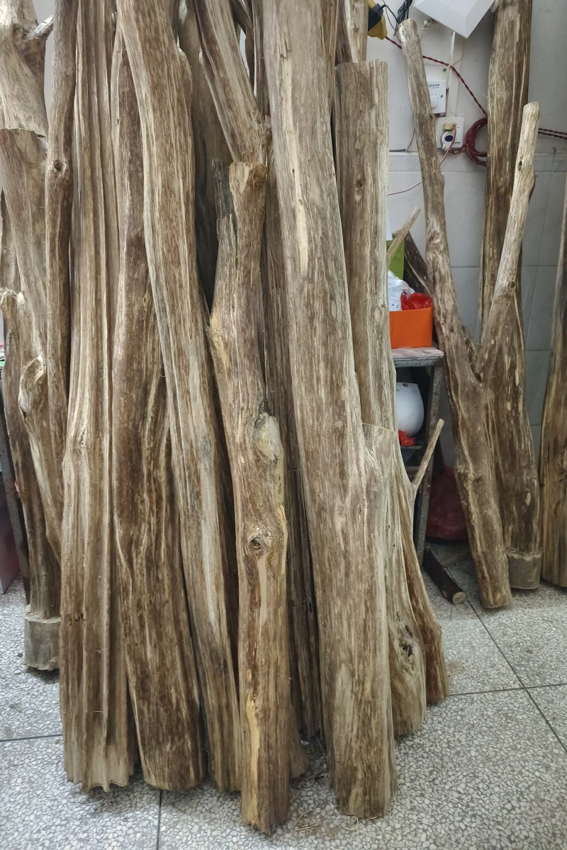 Agarwood