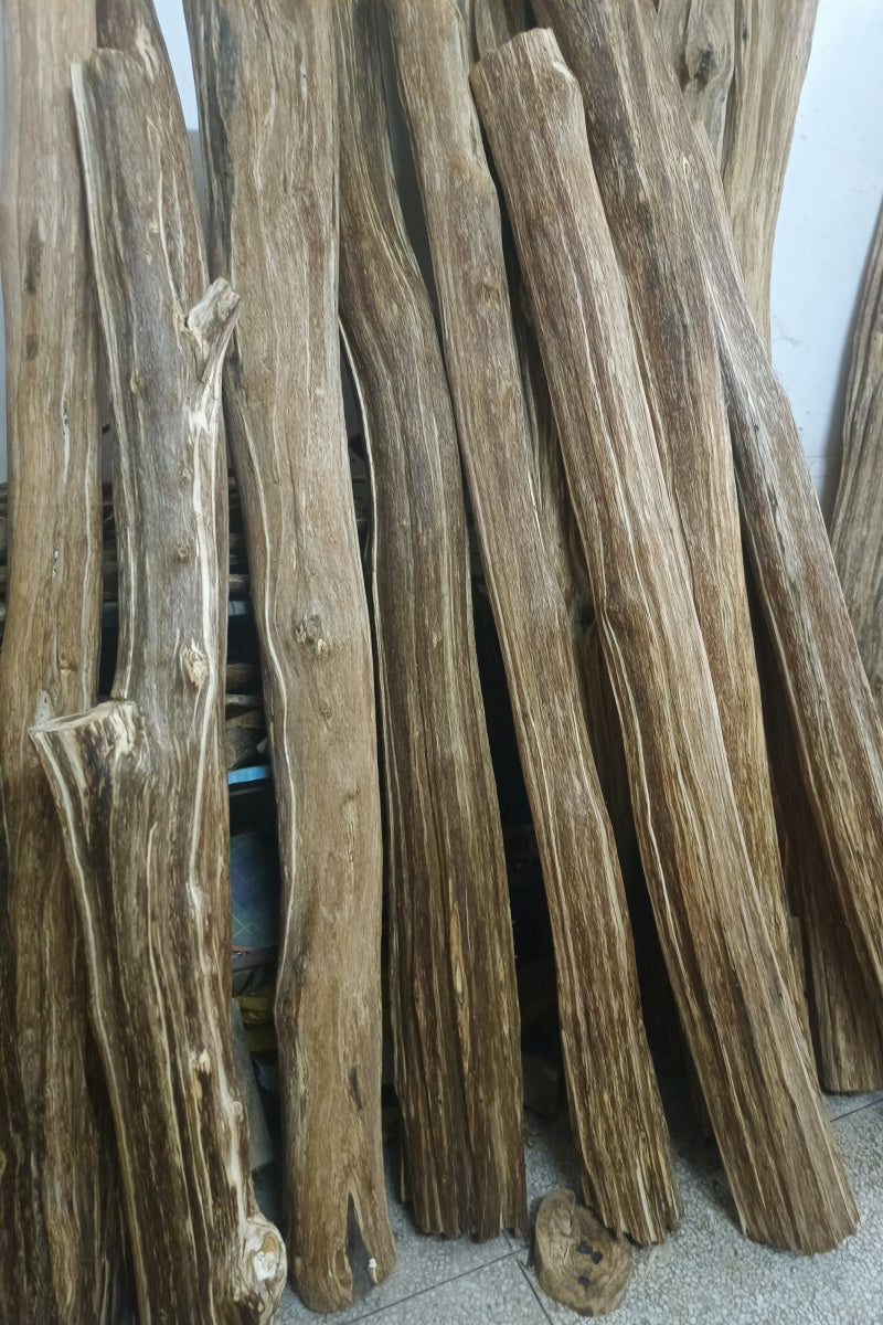 Agarwood